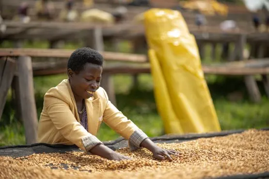 RAMBAGIRAKAWA_Ruli_processing